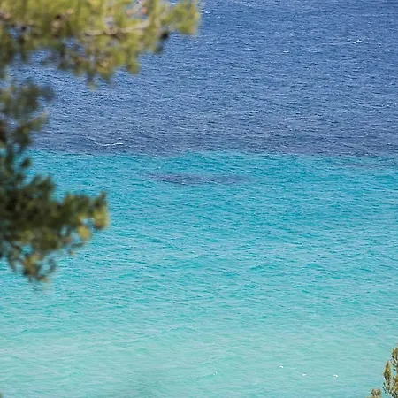 Coconut & Vanilla & Pineapple Pool #feelslikehome Holiday home