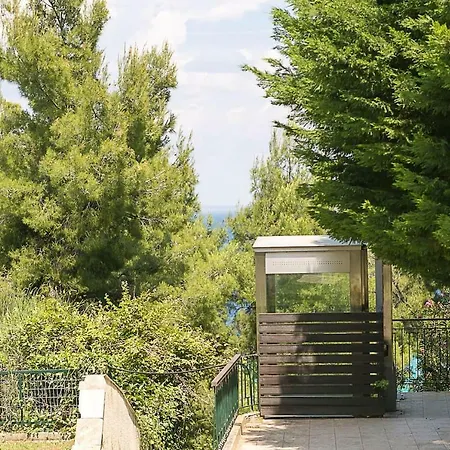 Holiday home Coconut & Vanilla & Pineapple Pool #feelslikehome *