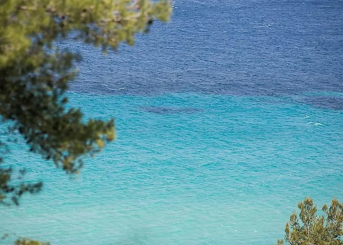 Coconut & Vanilla & Pineapple Pool #feelslikehome Hébergement de vacances